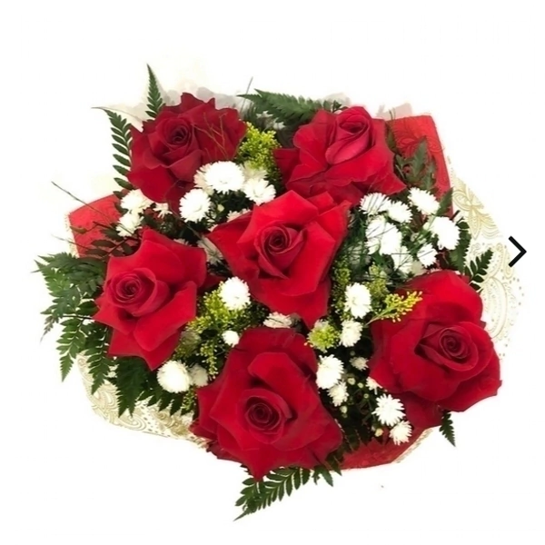 Encanto de Vênus (Rosas com detalhes brancos)